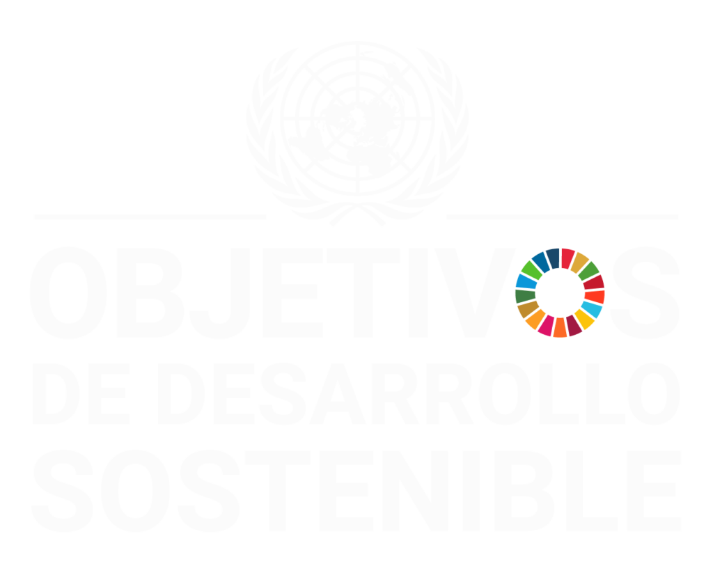 Objectius de Desenvolupament Sostenible