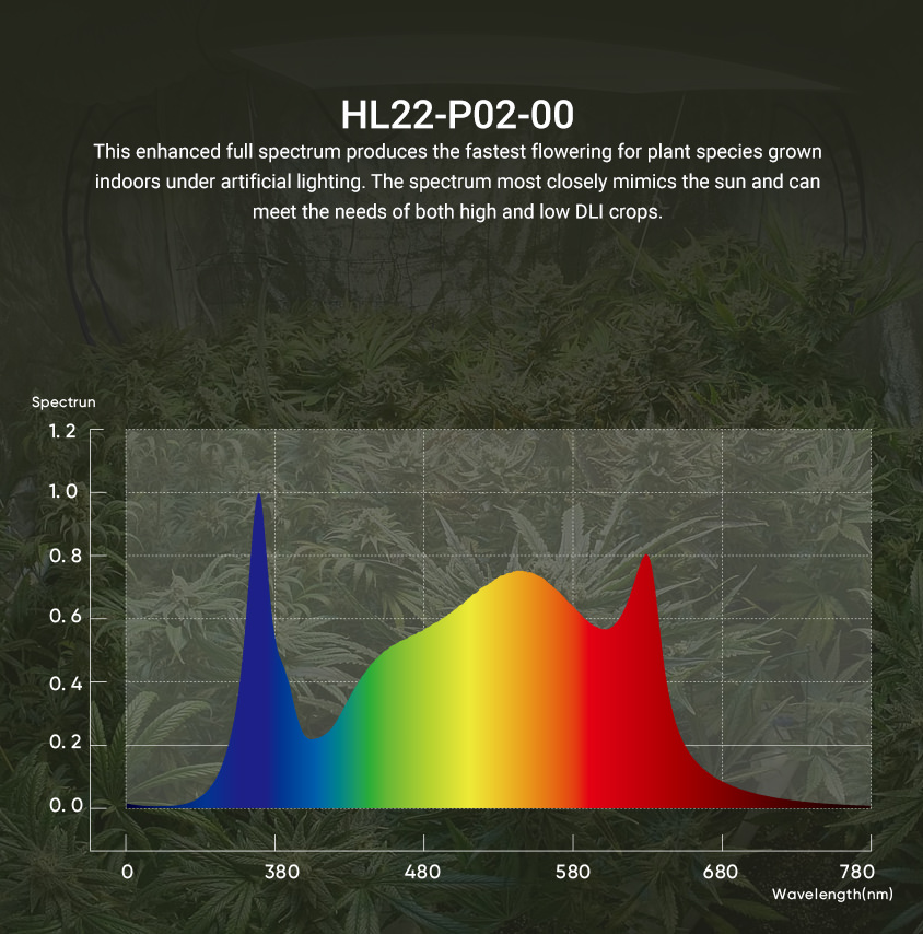 HL22-P02-00-full-spectrum.jpg